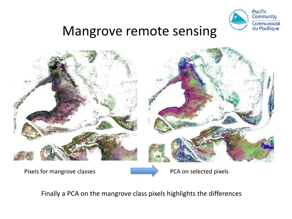 mangrove remote sensing 4