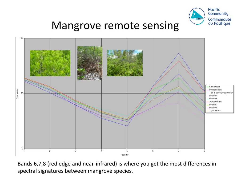 mangrove remote sensing 6