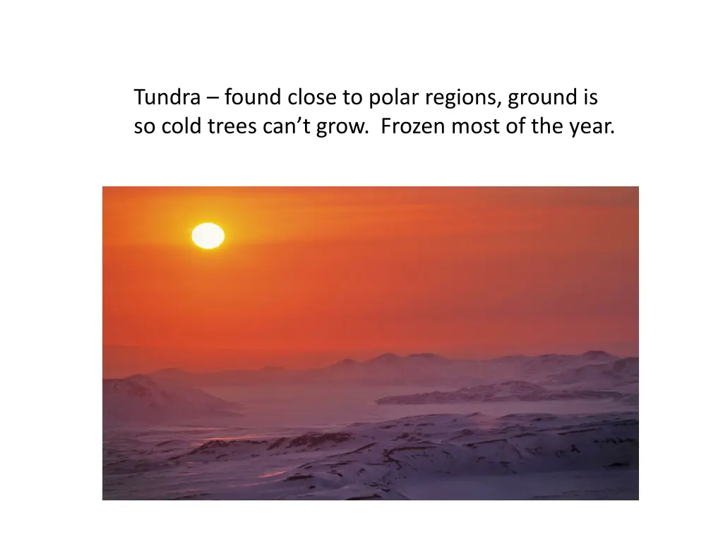 tundra found close to polar regions ground
