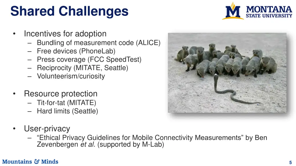 shared challenges