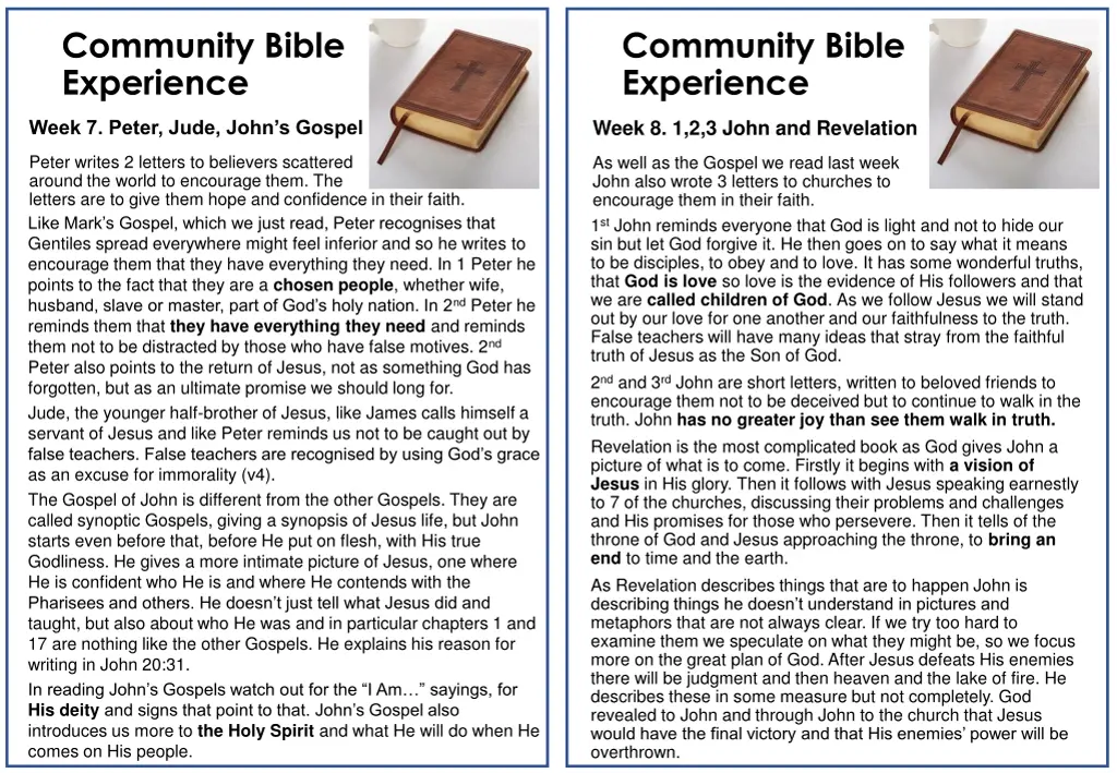 community bible experience 4