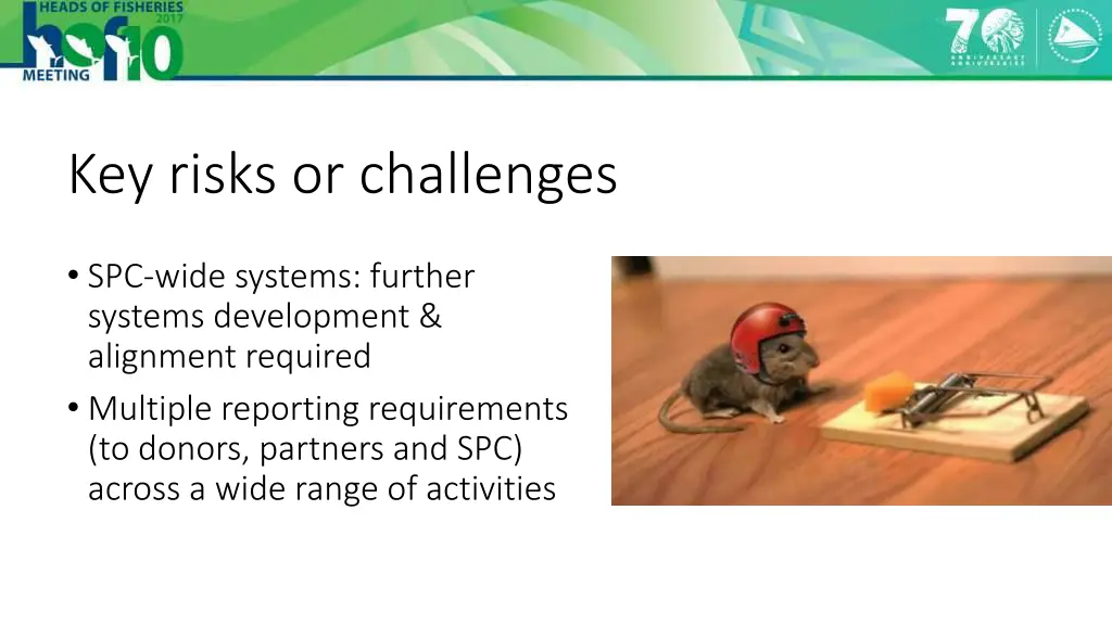 key risks or challenges 1