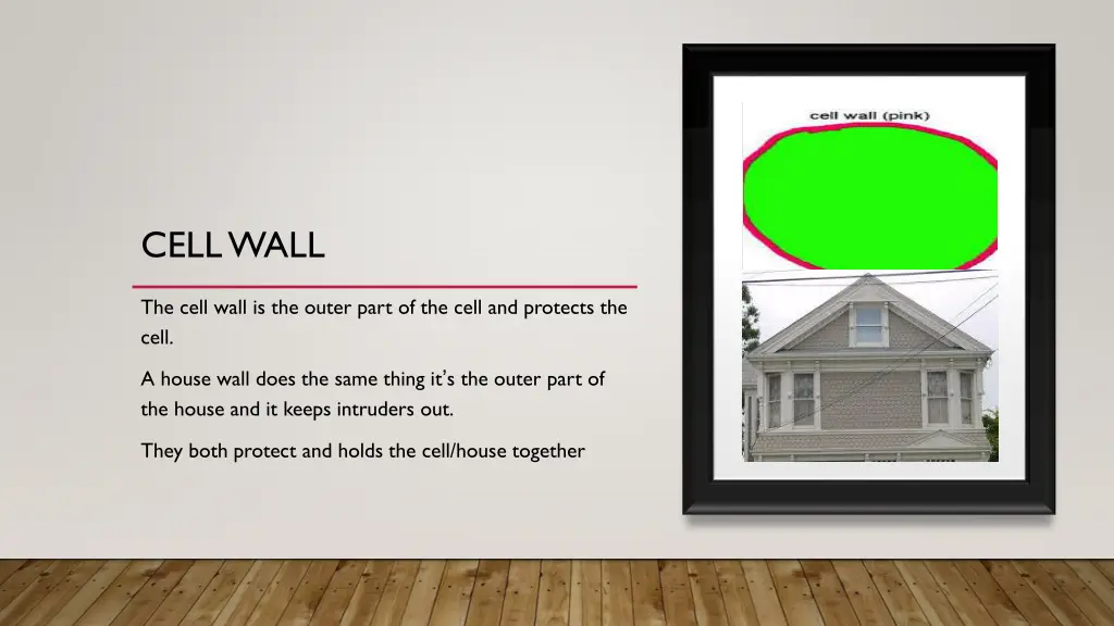 cell wall
