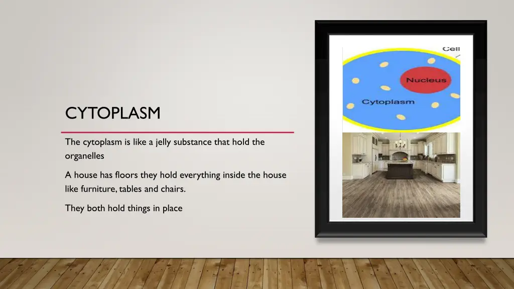 cytoplasm