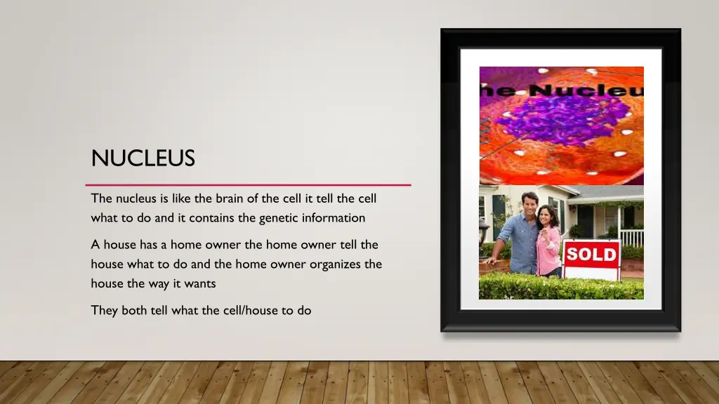 nucleus