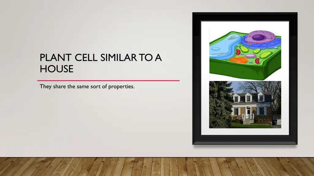 plant cell similar to a house