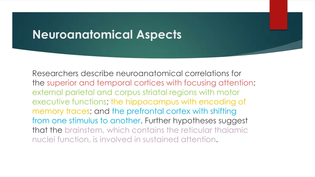 neuroanatomical aspects