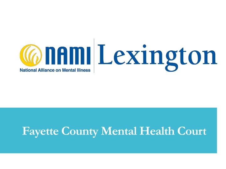 fayette county mental health court