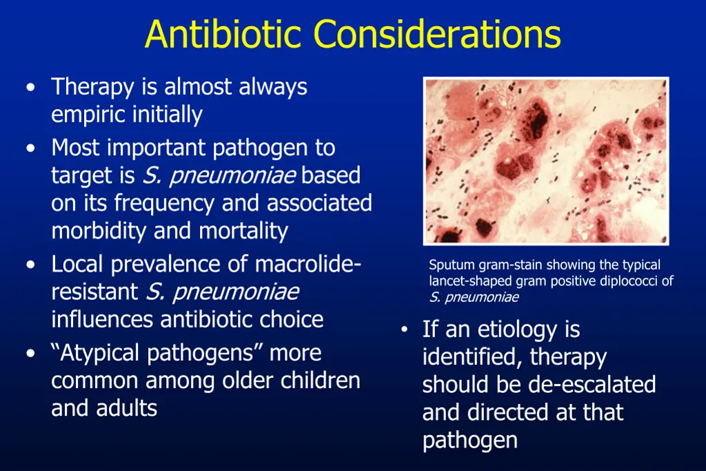 antibiotic considerations