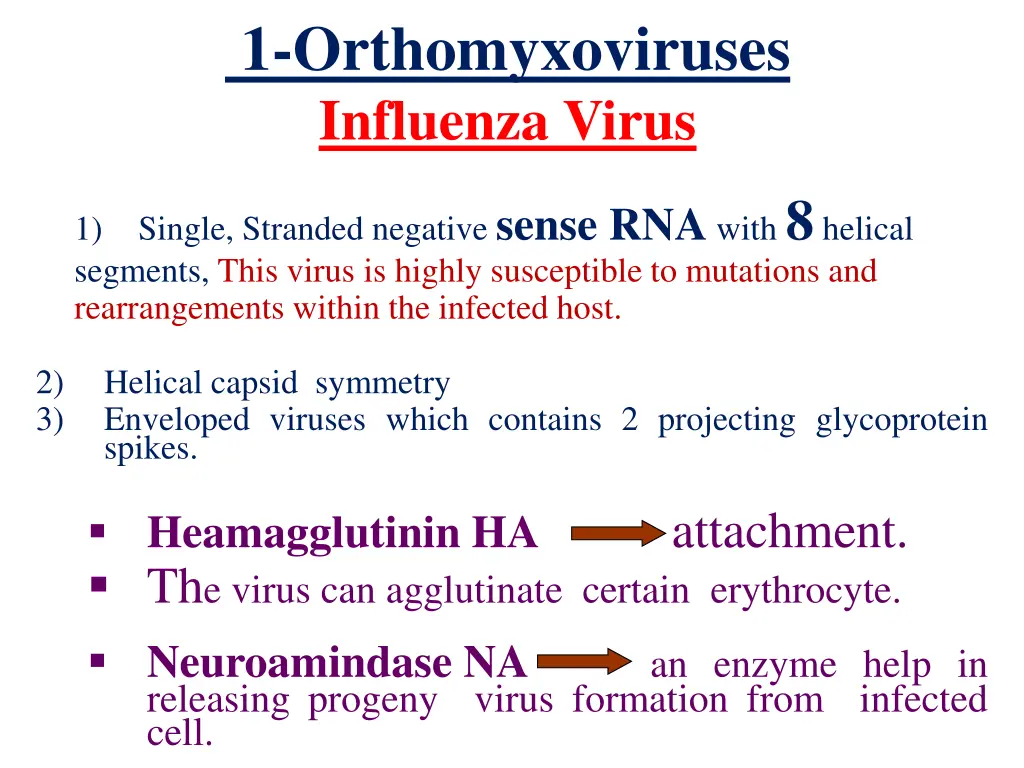 1 orthomyxoviruses influenza virus