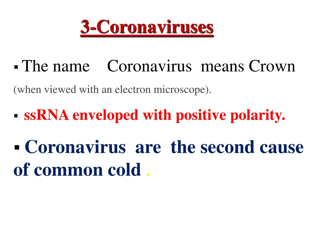 3 coronaviruses
