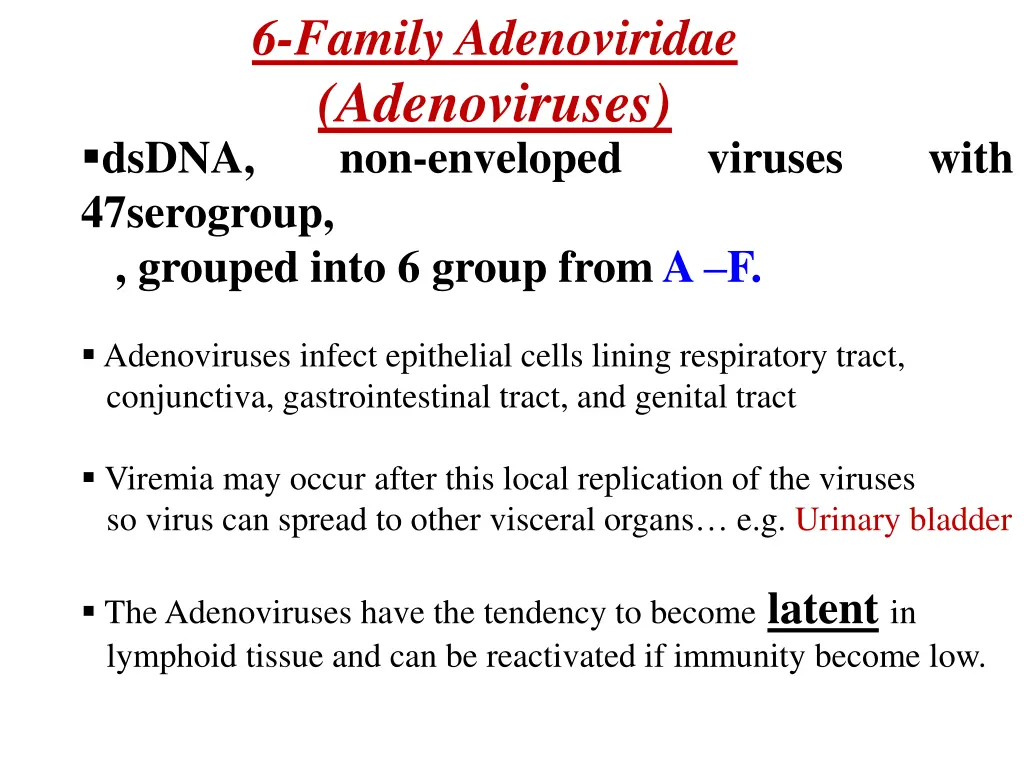6 family adenoviridae adenoviruses dsdna