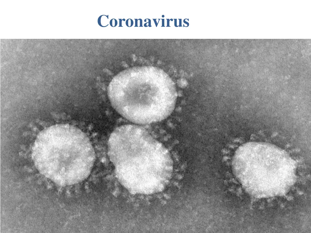 coronavirus