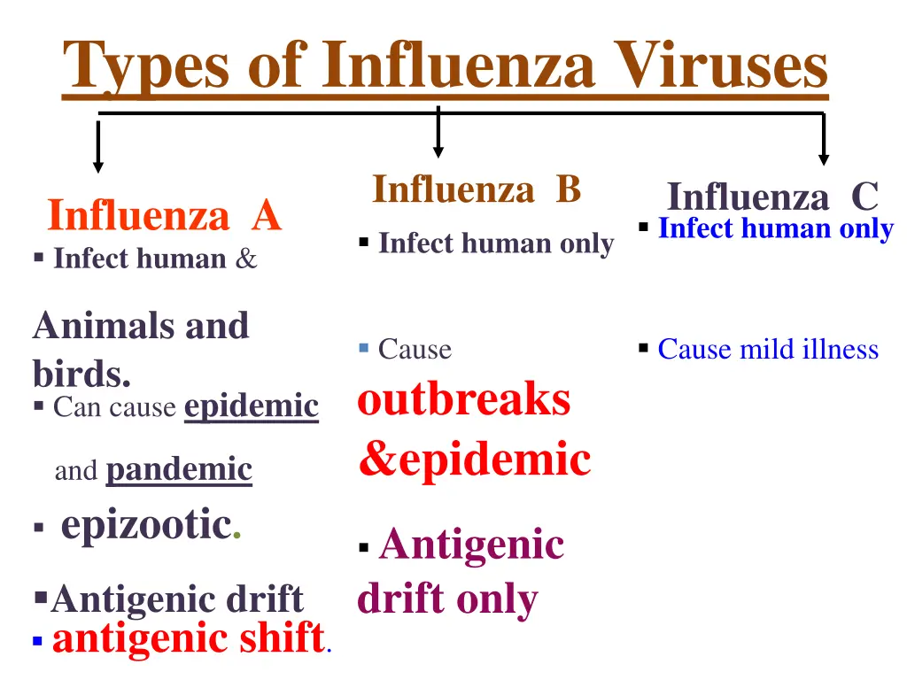 types of influenza viruses