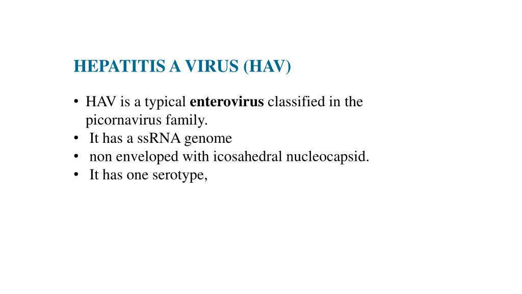 hepatitis a virus hav