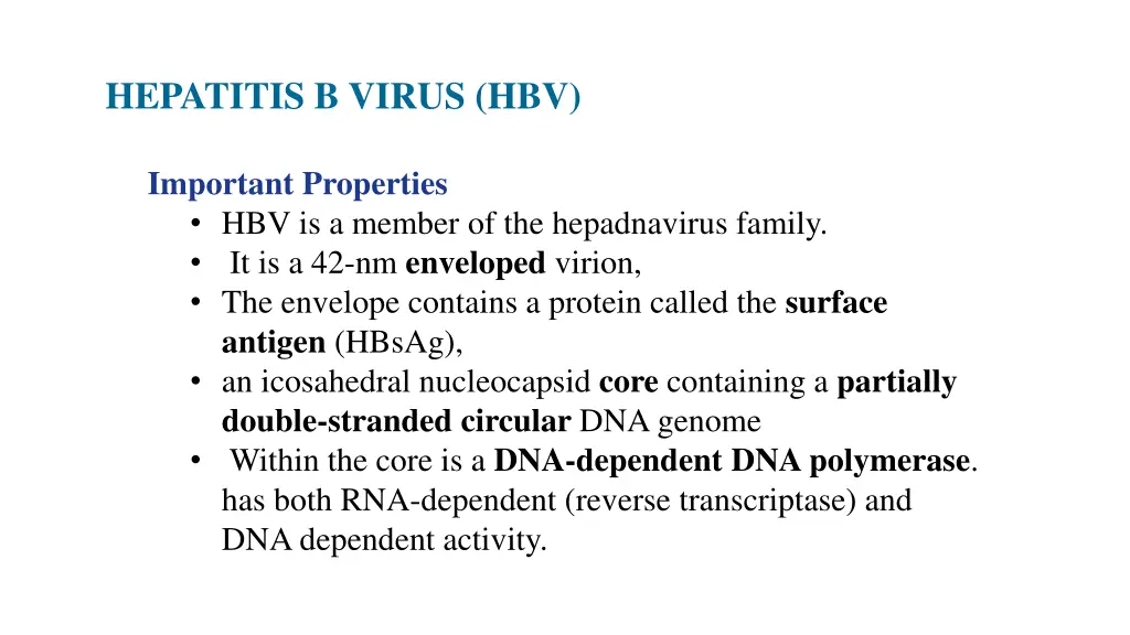 hepatitis b virus hbv