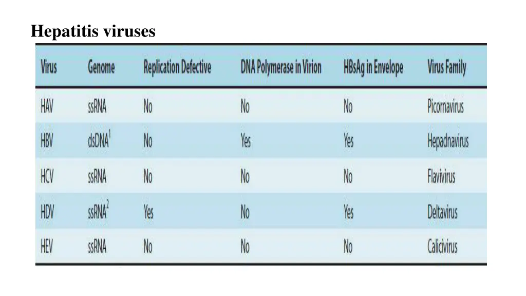 hepatitis viruses
