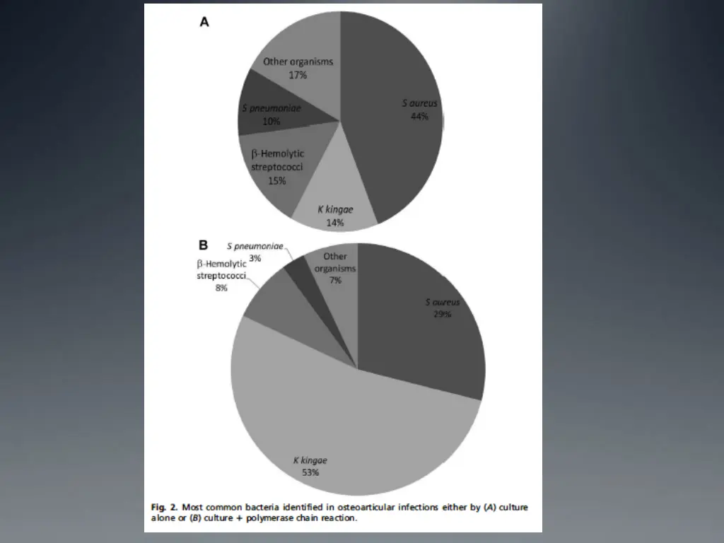 slide3