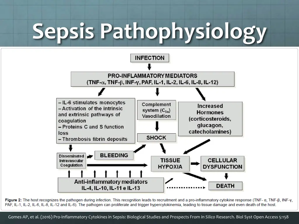 sepsis pathophysiology