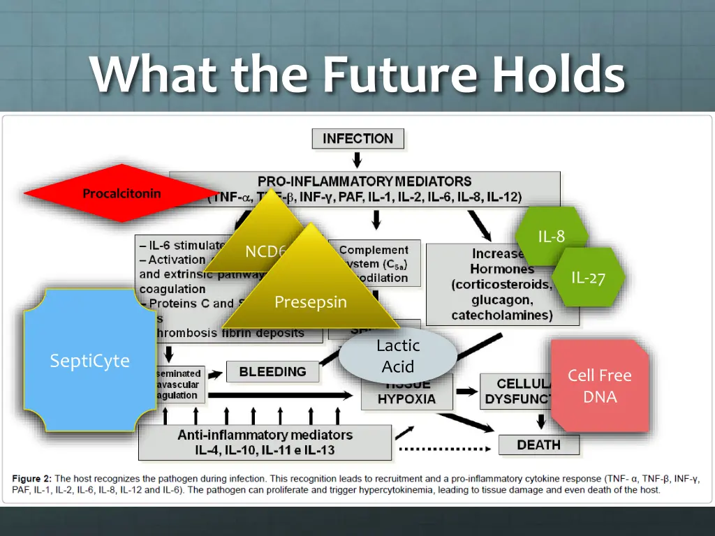 what the future holds