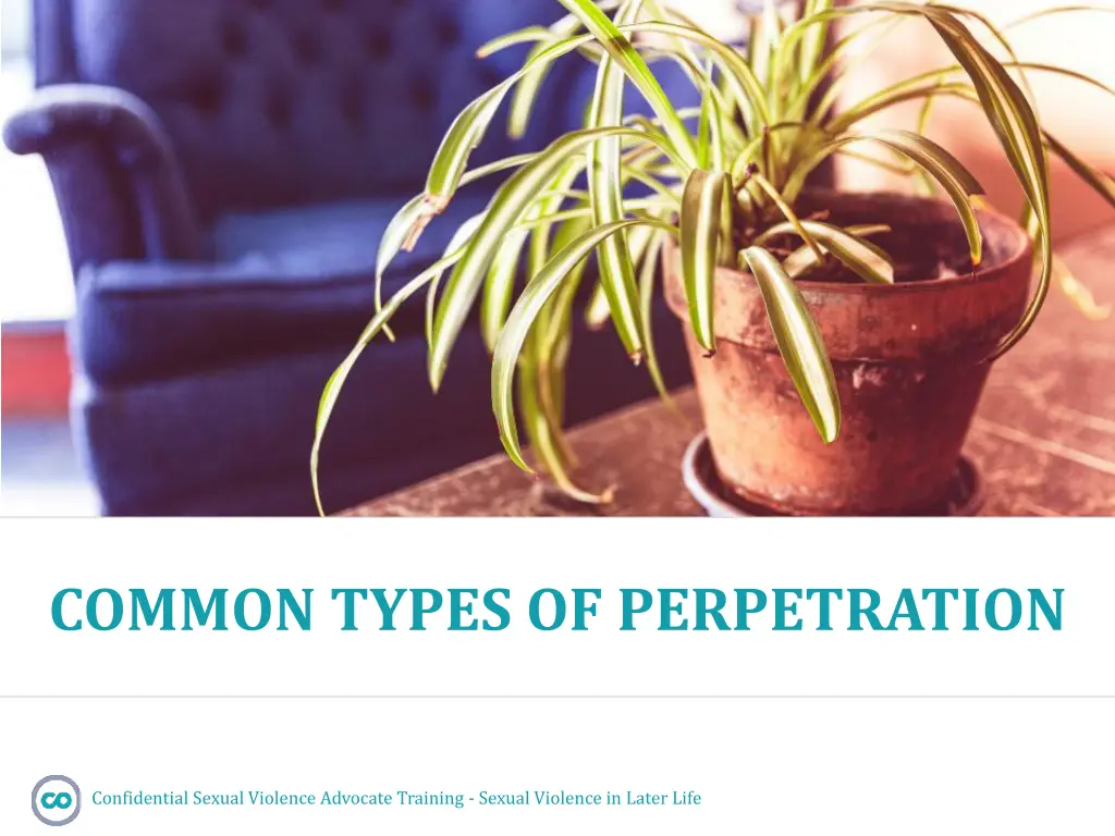 common types of perpetration