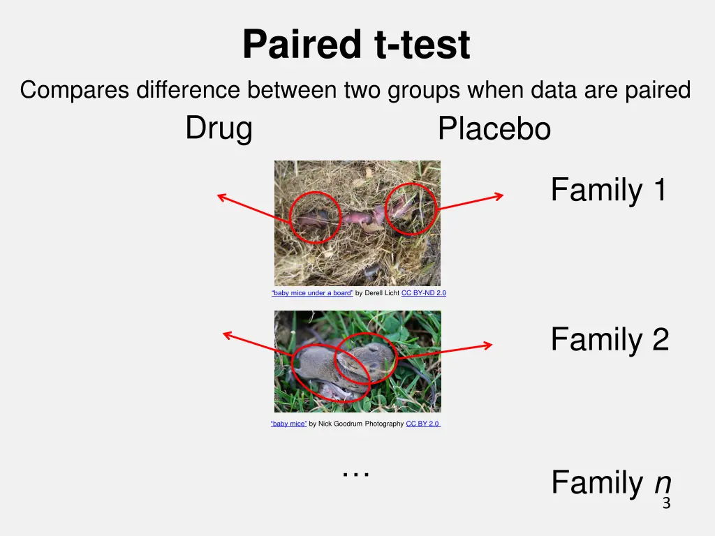 paired t test 2