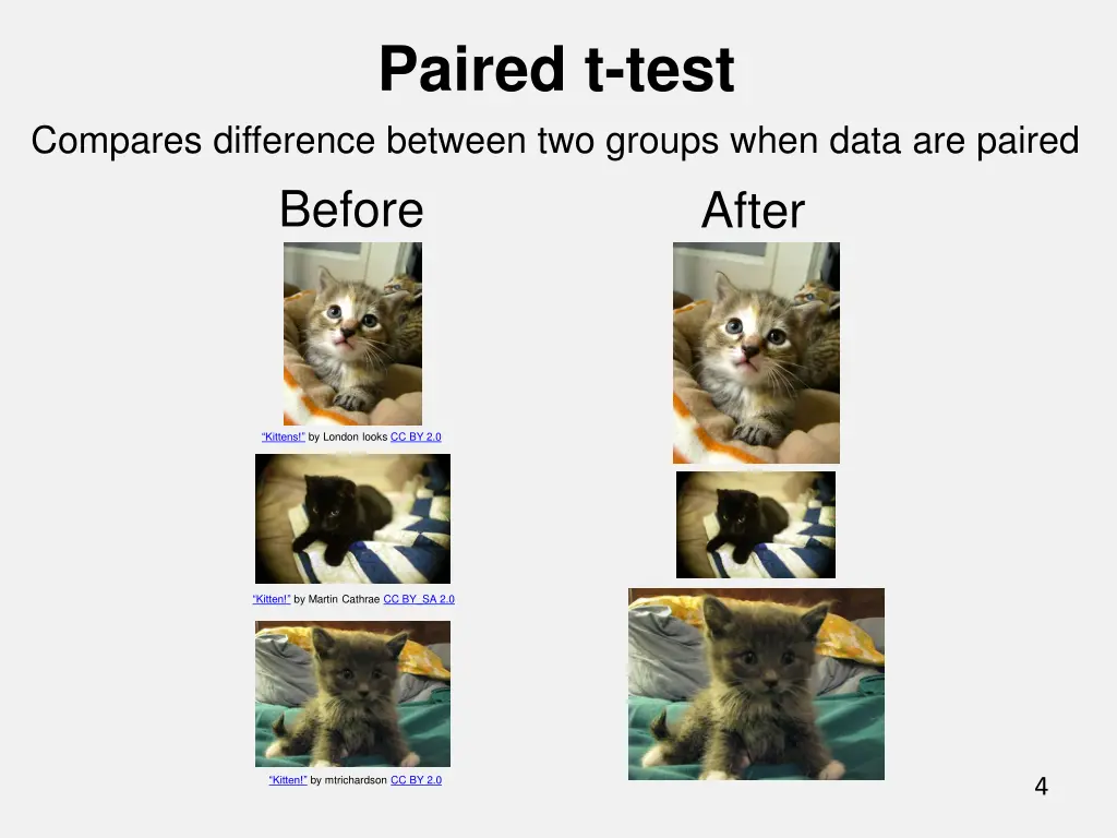 paired t test 3