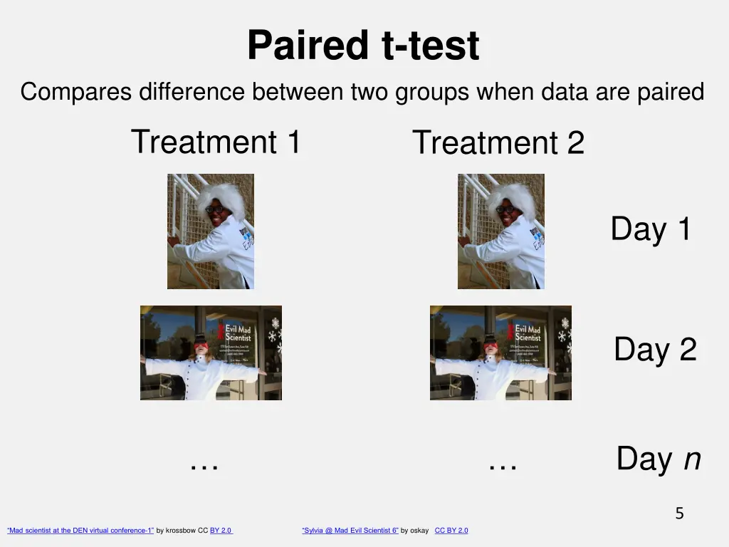 paired t test 4