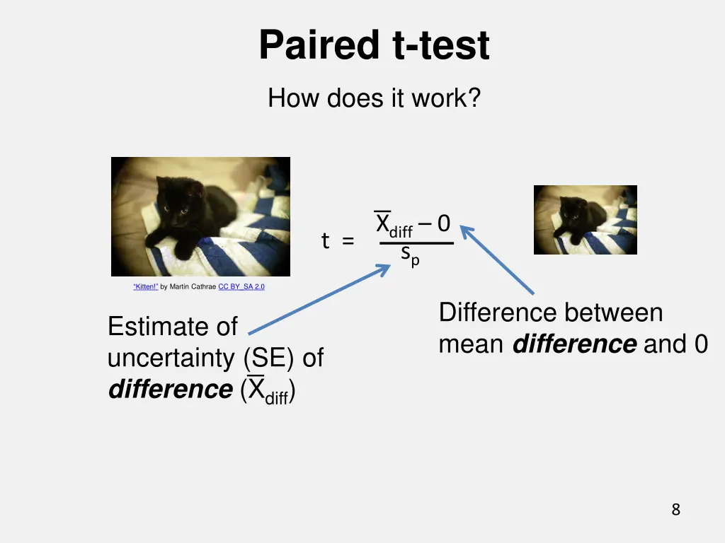 paired t test 7