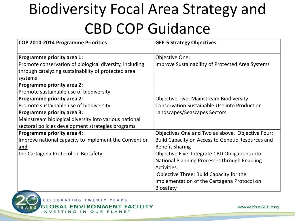 biodiversity focal area strategy