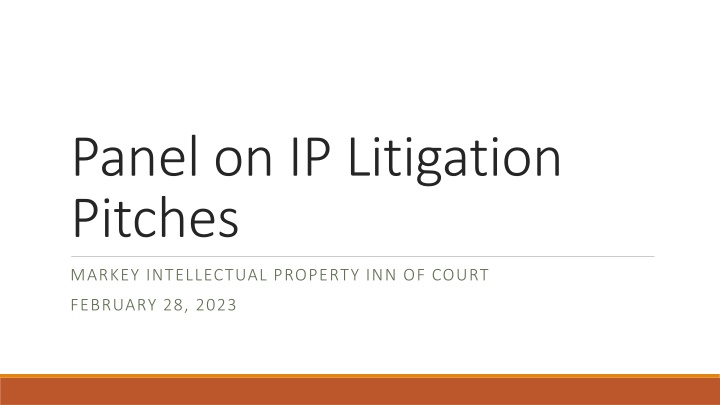 panel on ip litigation pitches
