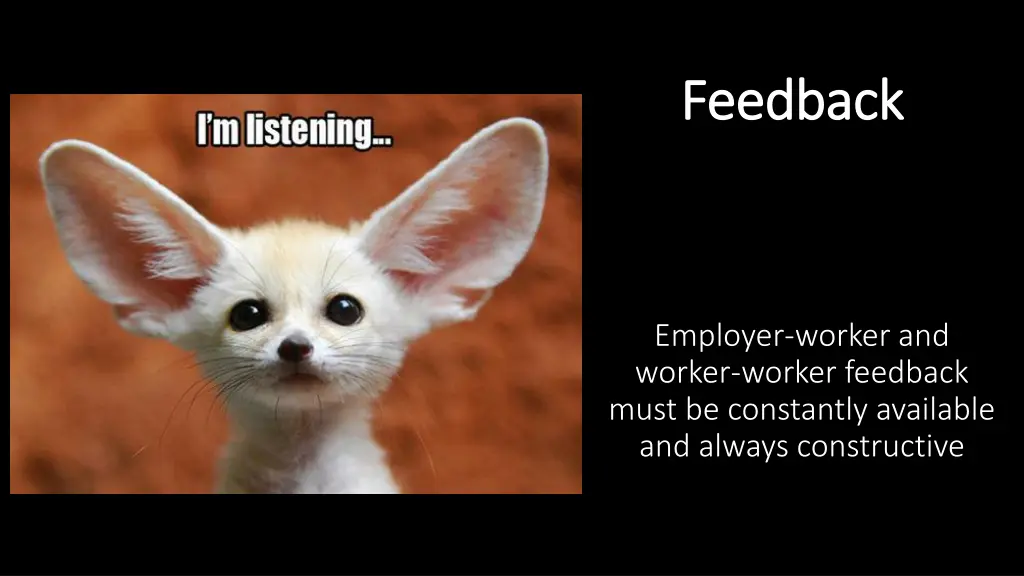 feedback feedback