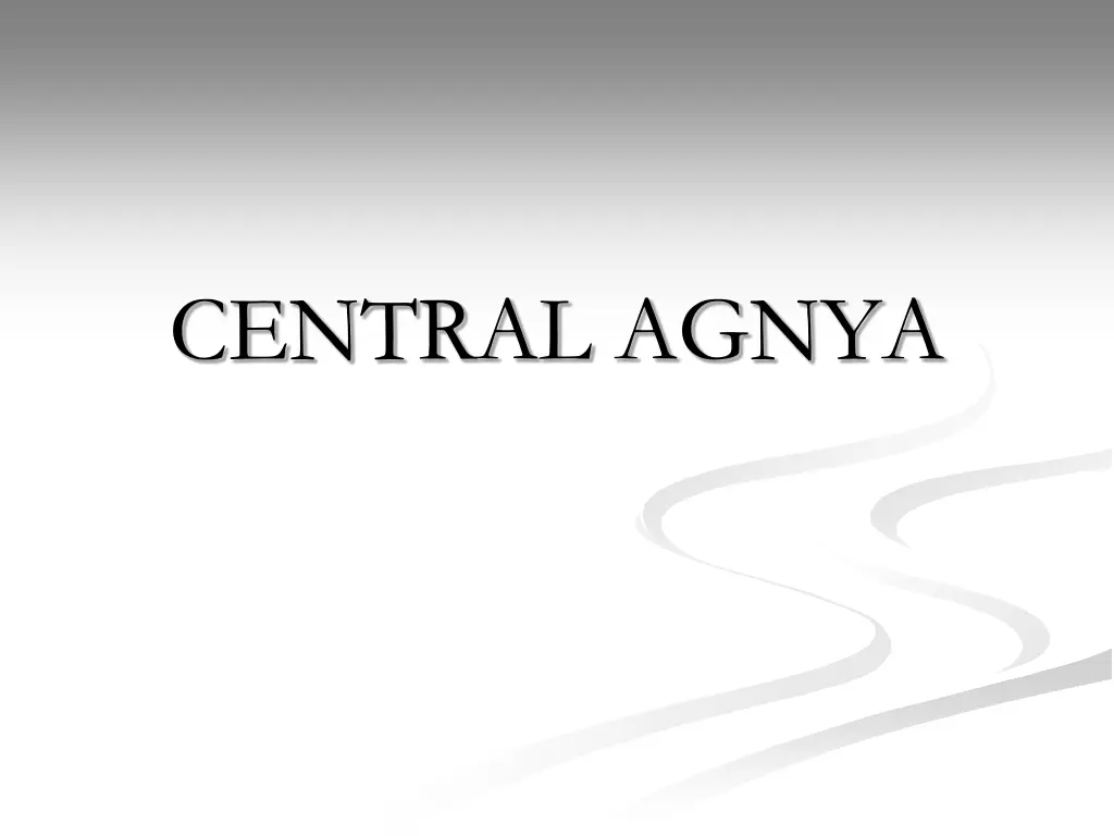 central agnya
