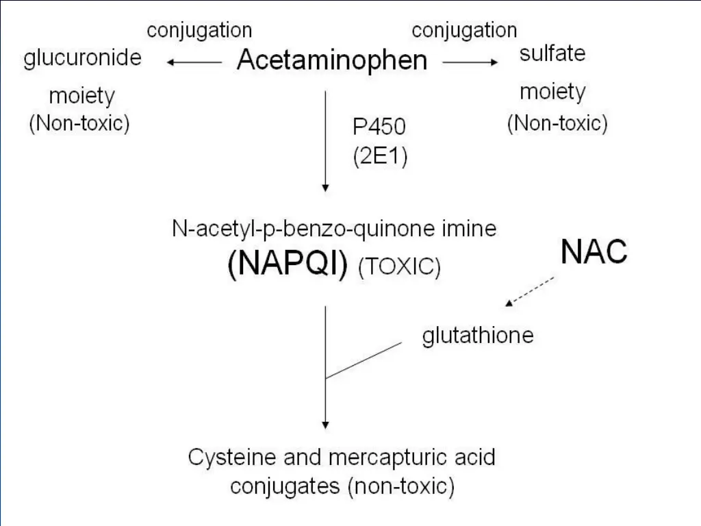 slide12