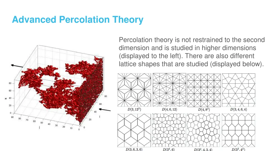 advanced percolation theory