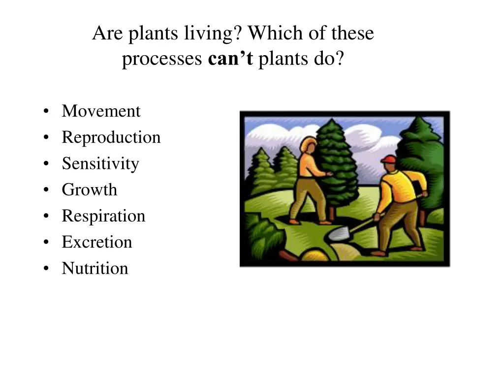 are plants living which of these processes