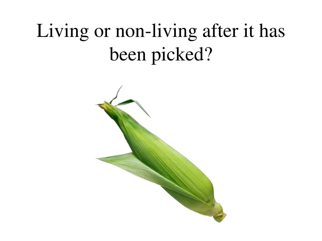 living or non living after it has been picked