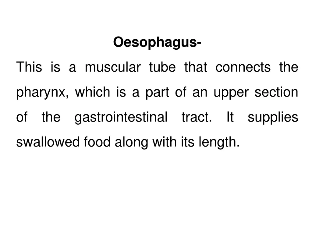 oesophagus