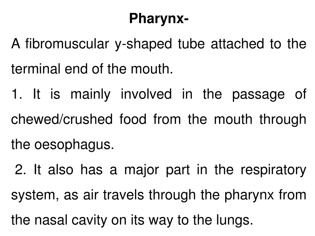 pharynx