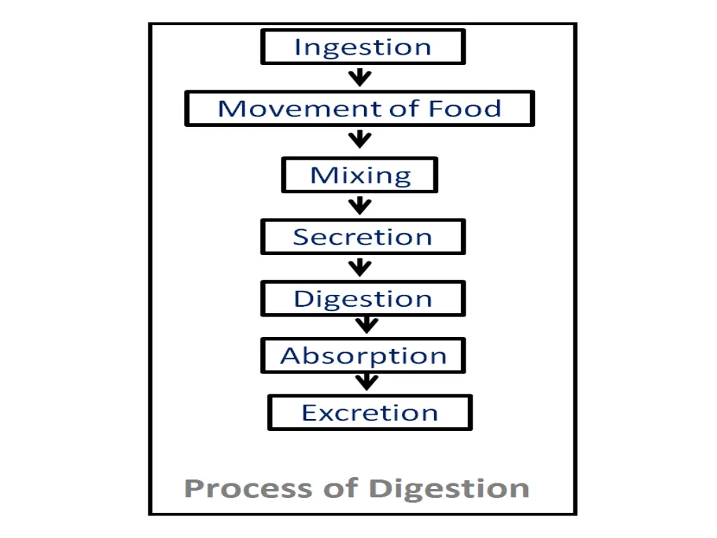 slide18
