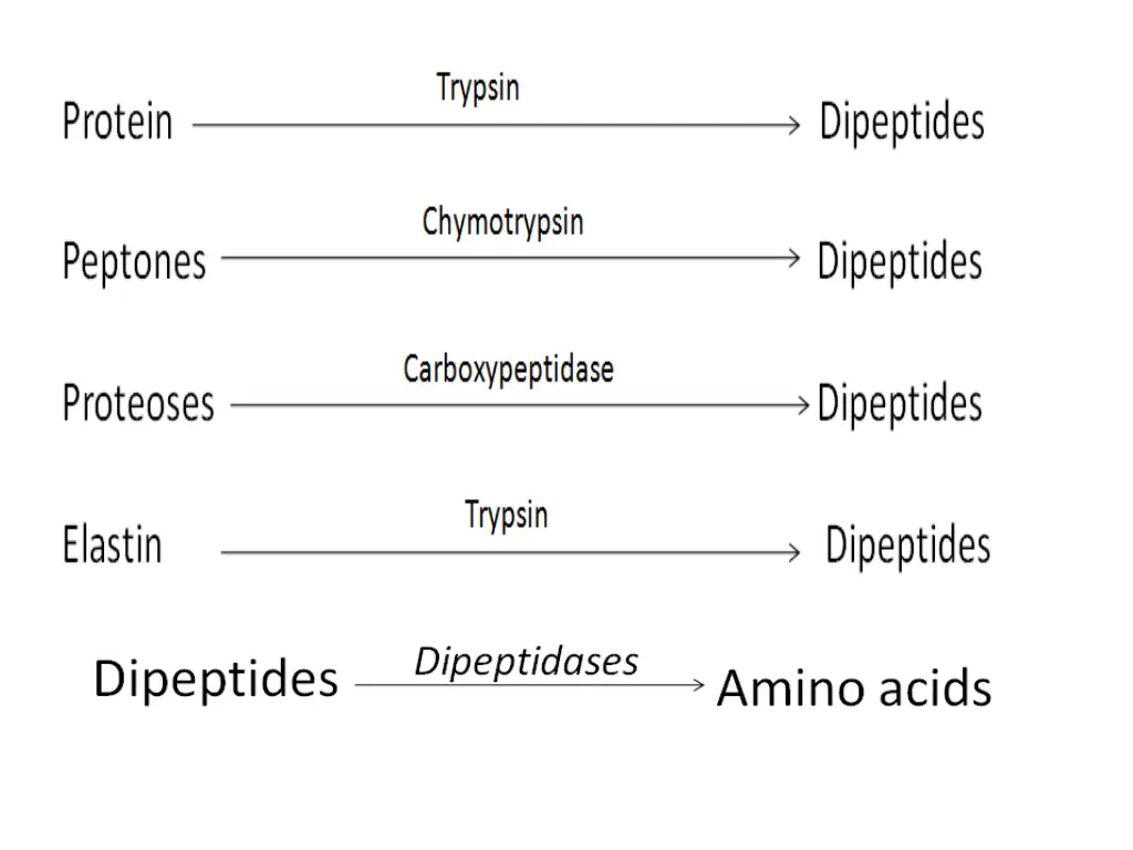slide25