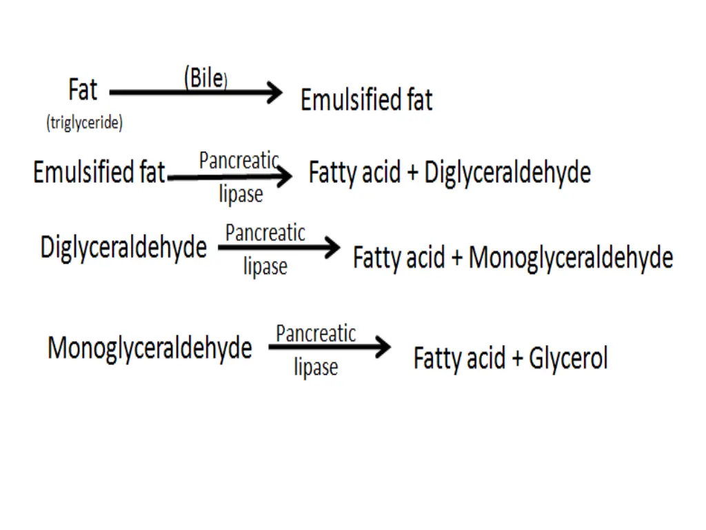 slide26