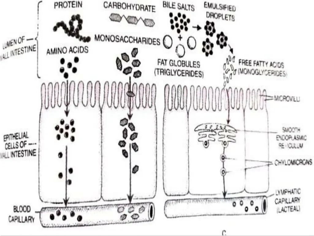 slide34