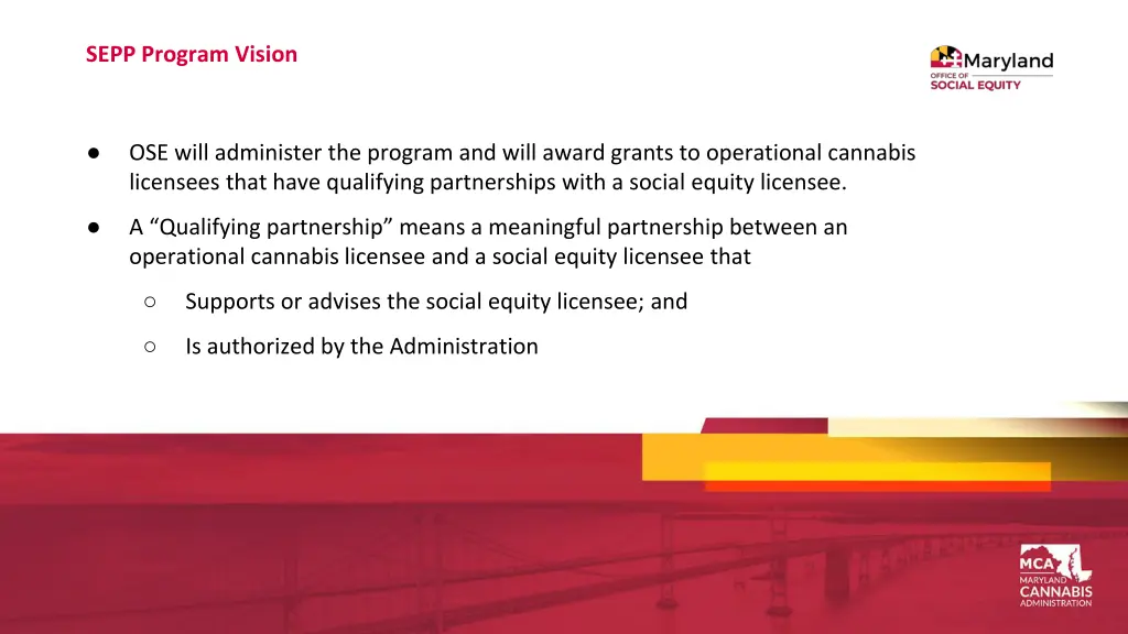 sepp program vision