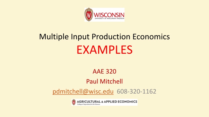 multiple input production economics examples