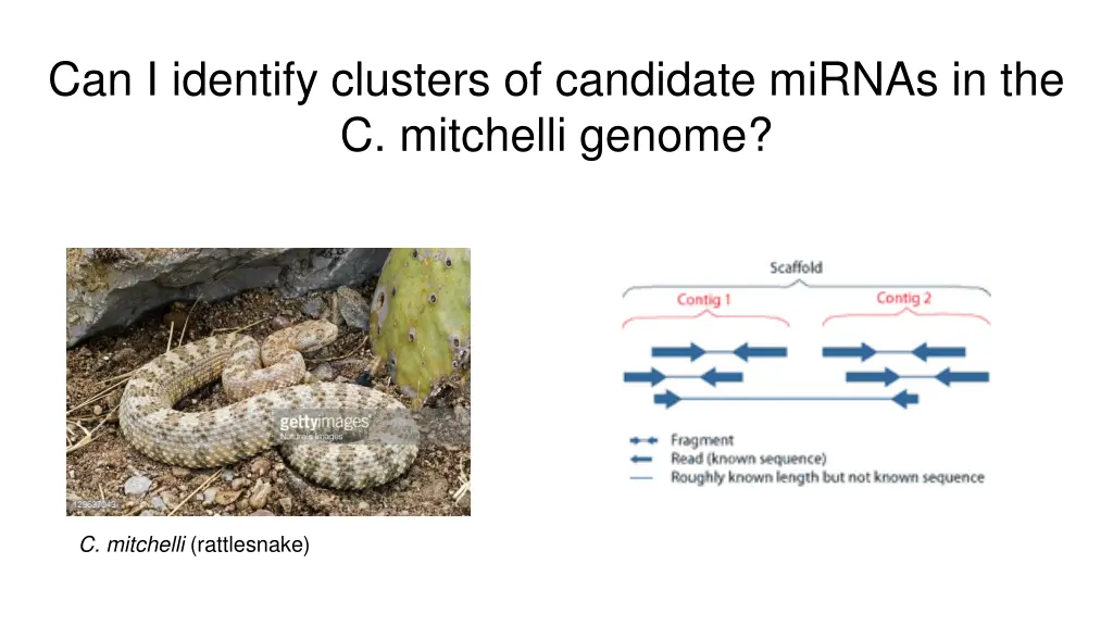 can i identify clusters of candidate mirnas