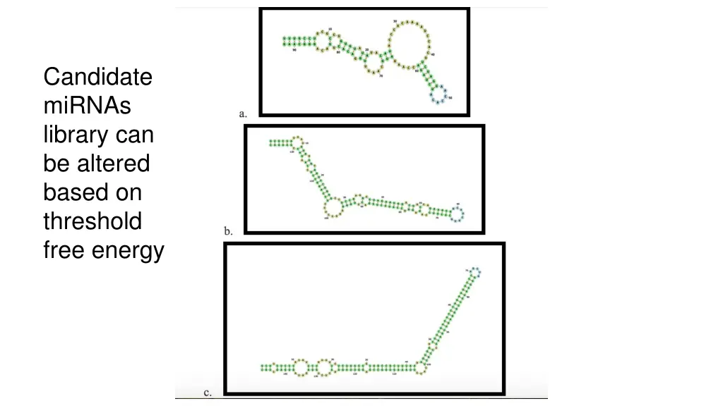candidate mirnas library can be altered based