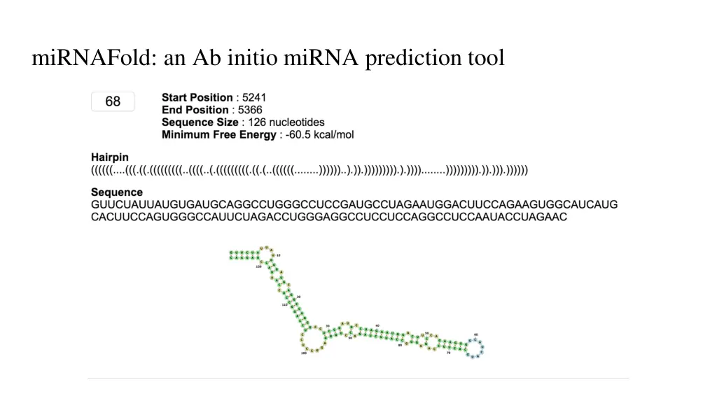 mirnafold an ab initio mirna prediction tool