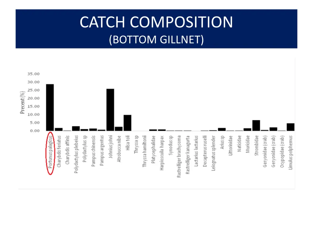 catch composition bottom gillnet