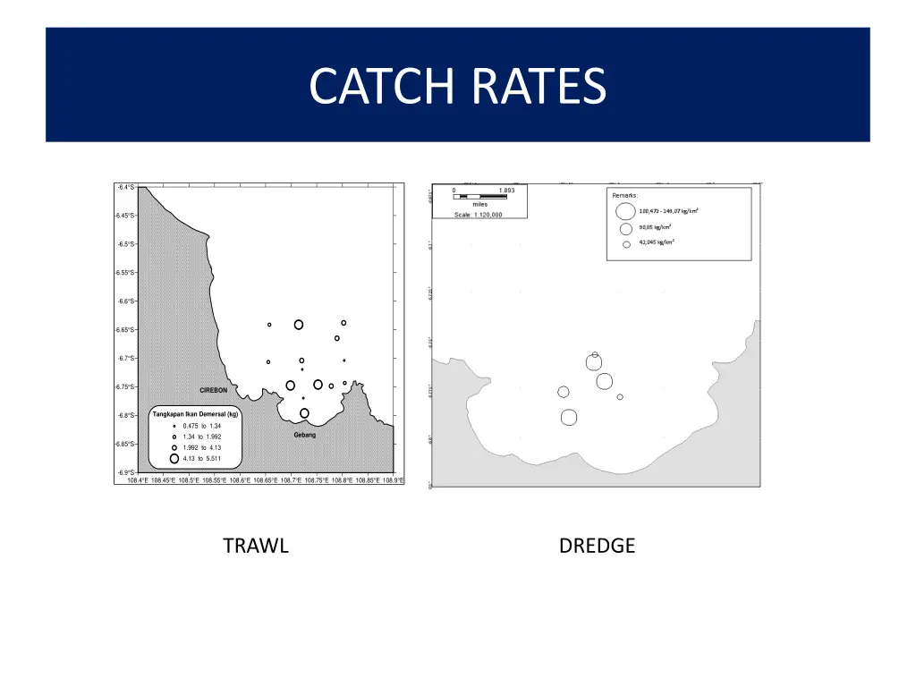 catch rates